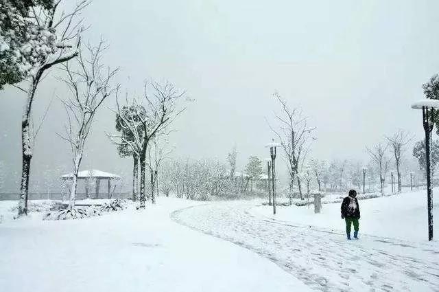 微信圖片_20200207124809.jpg 微信圖片_20200207124809.jpg