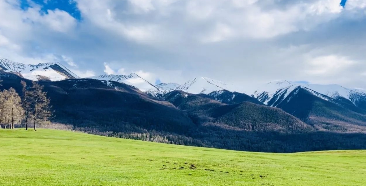 阿勒泰.png 阿勒泰.png